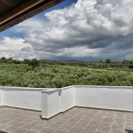 Elaionas Apt. Apartman